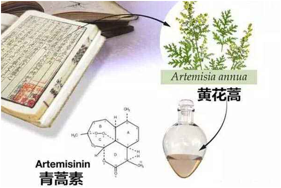 半岛平台,半岛（中国）：向中医药看齐，与世界共享中医药文化(图1)